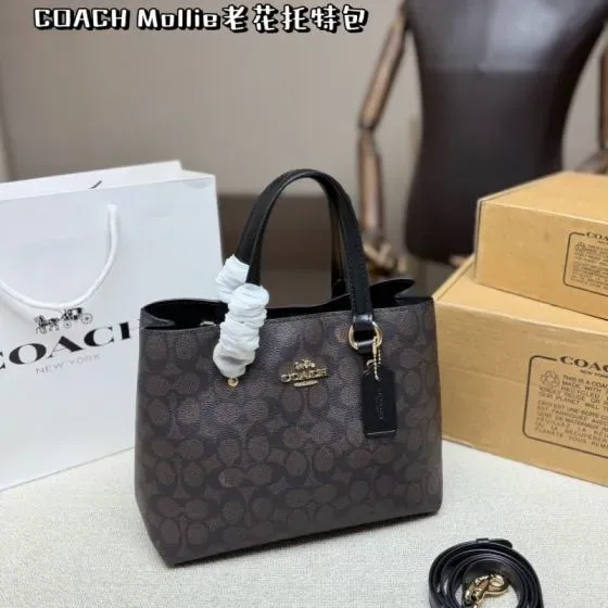 Coach Mollie Dark Brown Tote Bag