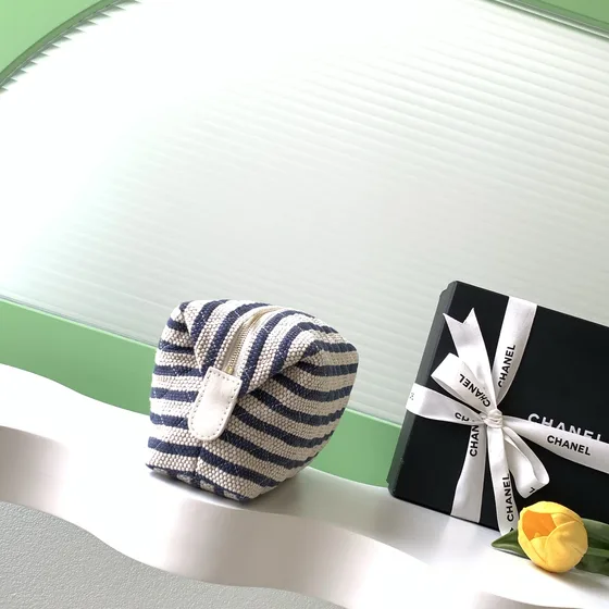 Chanel Cosmetic Pouch Navy Blue And White Clutch