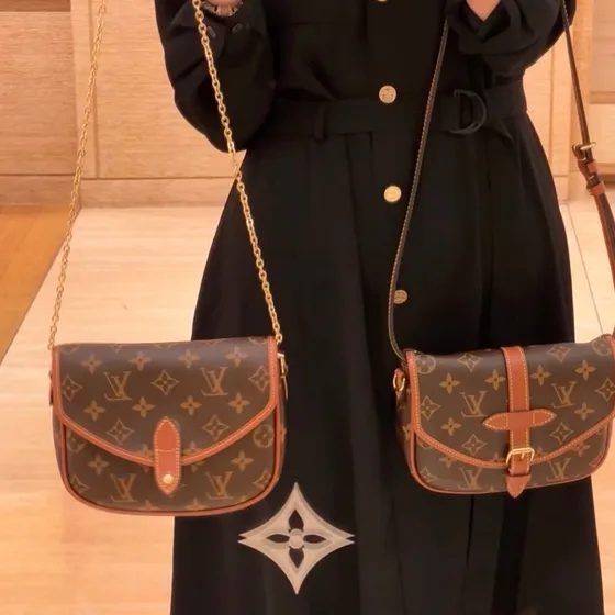 Louis Vuitton Beltbag Duo Brown Belt Bag