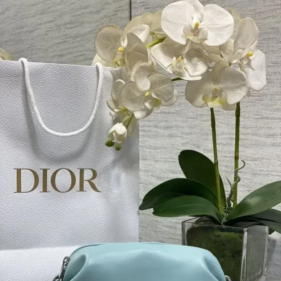 Dior Light Blå Etui