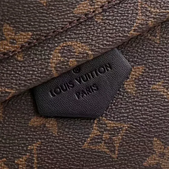 Louis Vuitton Palm Springs Bruin Rugzak