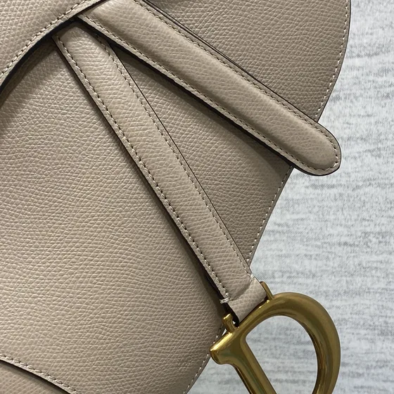 Dior Saddle Bag Beige Sac épaule