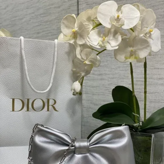 Dior Bow Bag Silver Clutch