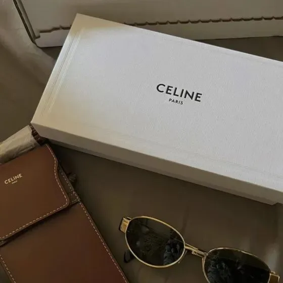Celine Sunglasses Pouch Brown Clutch