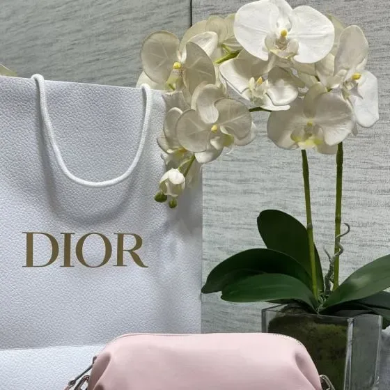 Dior Lyserød Etui