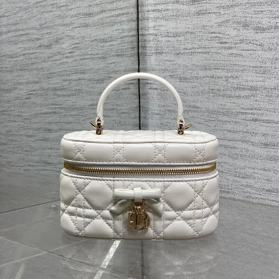 Dior Dior Small Lady Dior Vanity Case White Top Handle