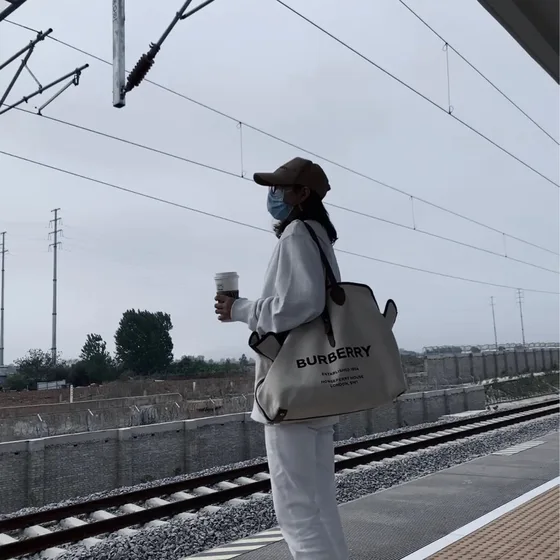 Burberry Horseferry Print Lona Bolso tote Beige/Marrón Bolso tote