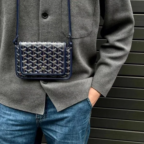 Goyard Plumet Etui Mehrfarbig Crossbody