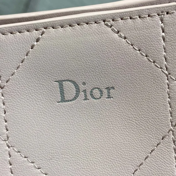 Dior Miss Dior Dioraddict Fold Over Etui Bag Light Lyserød Crossbody