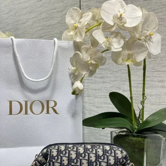 Dior Oblique Cosmetic Pouch Blue Beige Pouch