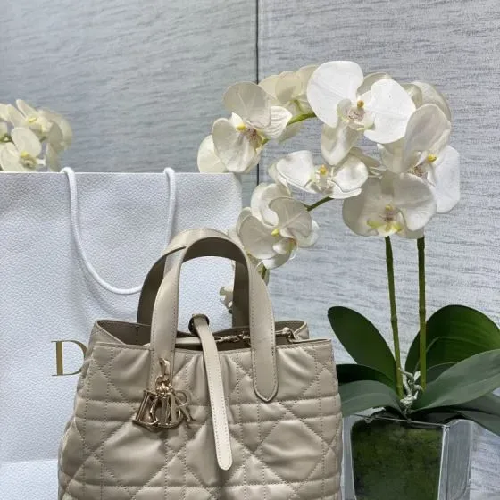 Dior Toujours بيج Top Handle
