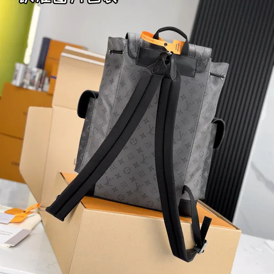 Louis Vuitton Christopher Grå Rygsæk