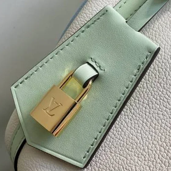 Louis Vuitton Express Bianco Multicolore 17 x 13 x 26 cm travel