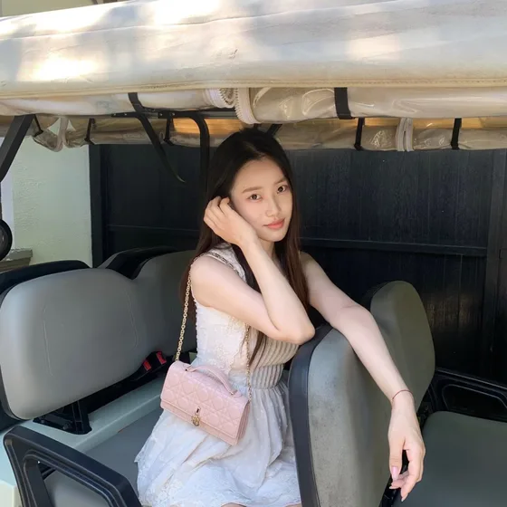 Dior Miss Dior Top Handle Bag وردي Top Handle