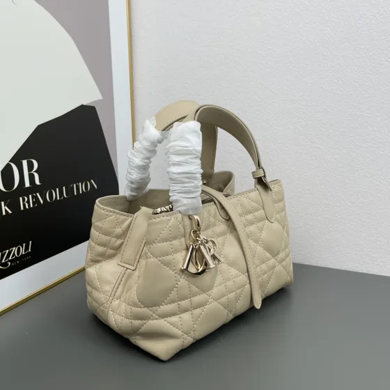 Dior Dior Toujours Beige 23cm Tote Bag