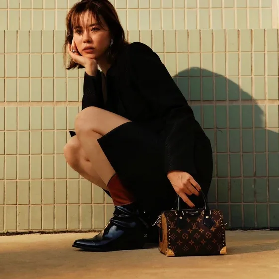 Louis Vuitton Speedy Brown Top Handle