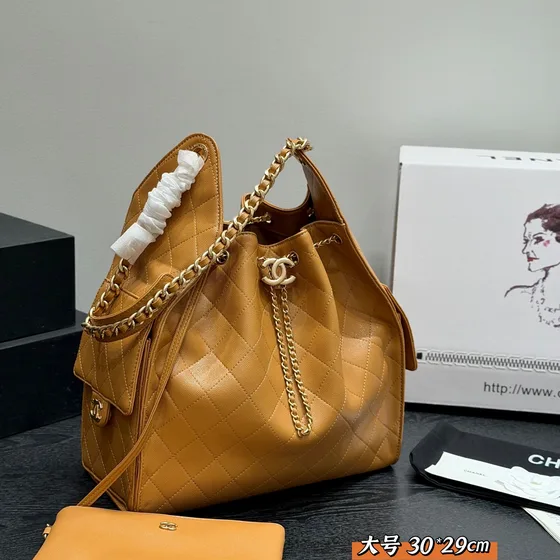 Chanel 25 Bag White 30 29cm Hobo