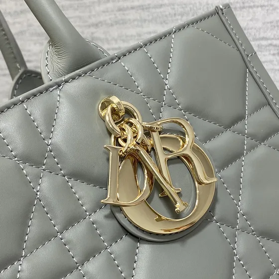 Dior Dior Book Tote Gray Shoppertasche