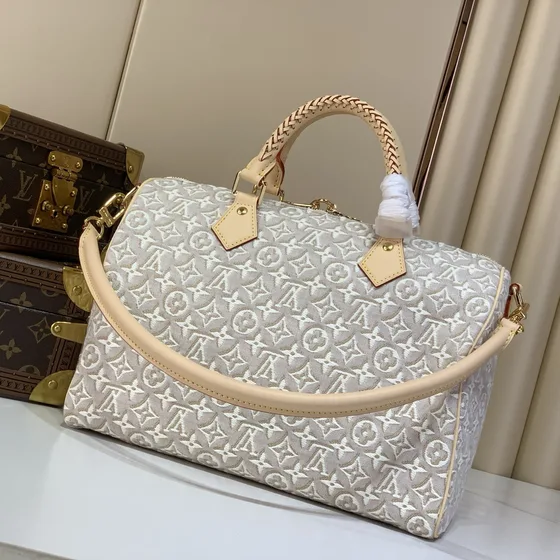 Louis Vuitton Speedy Light Gray Top Handle