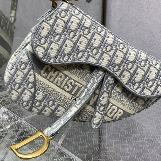 Dior Saddle Bag Gray Shoulder Bag