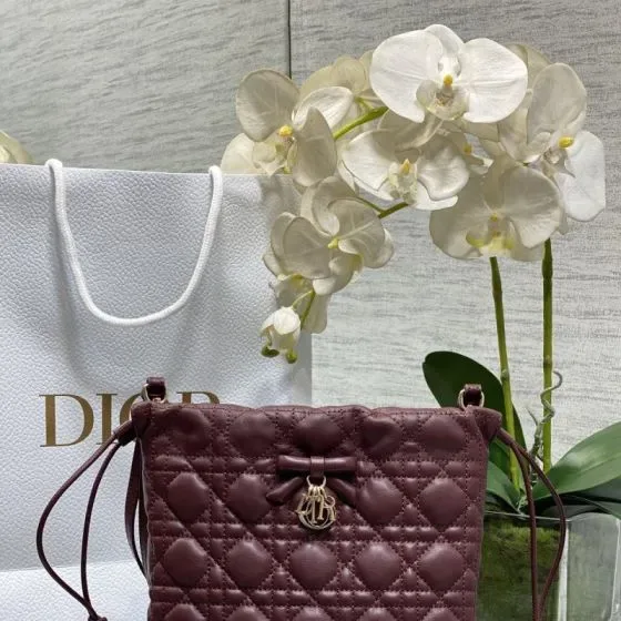 Dior Milky Dior Mini Pouch With Chain Burgundy Crossbody