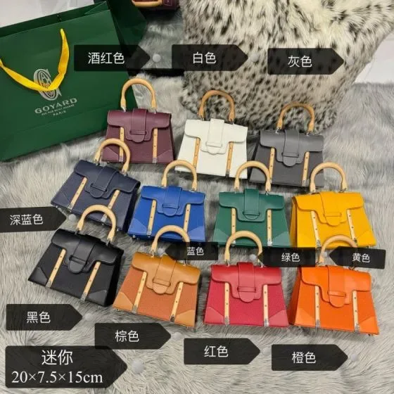 Goyard Sa gon Mini Multicolor 20 7 5 15cm Top Handle