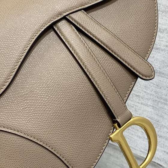 Dior Saddle Bag Beige Sac épaule