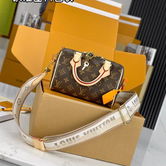 Louis Vuitton Speedy Brun 20cm Topphandtag