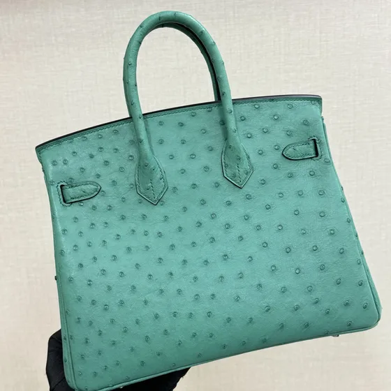 Hermes Birkin Green Top Handle