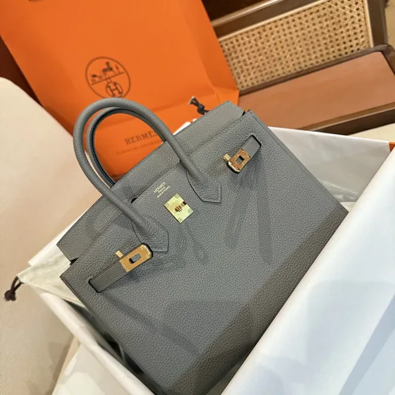 Hermes Birkin 25 Gray Top Handle