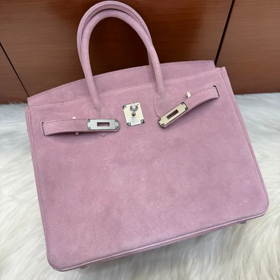 Hermes Birkin 25 Pink Top Handle