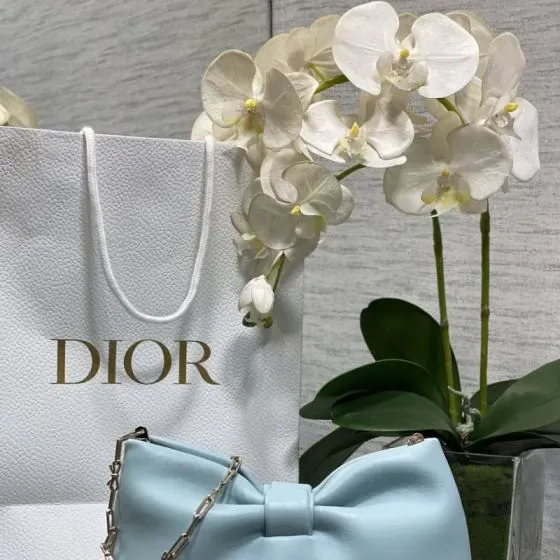 Dior Dior Bow Bag Sky Blue Clutch