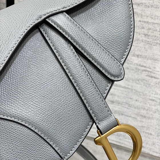 Dior Saddle Bag Gray Crossbody