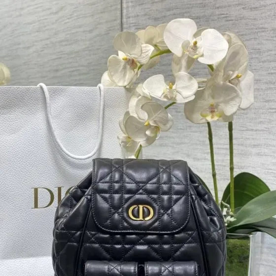 Dior Dior Caro Backpack Black Backpack