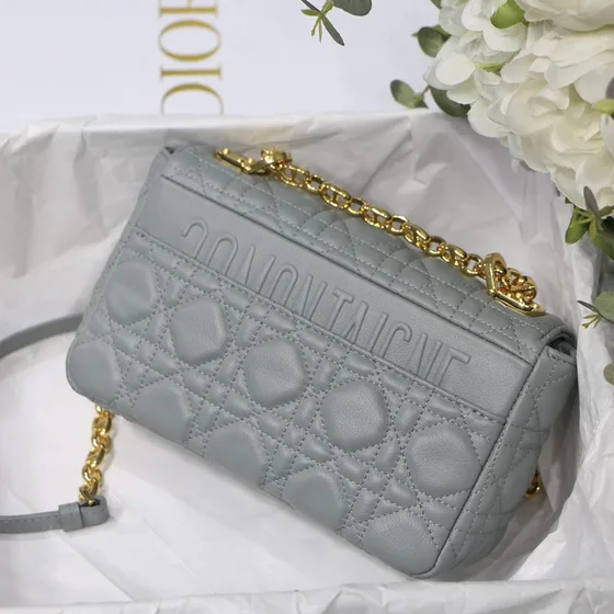 Dior Caro Light Gray Crossbody