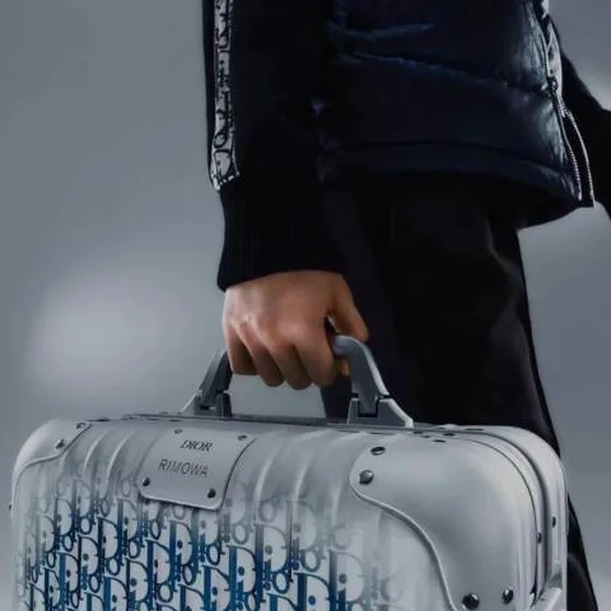 Dior valise Oblique travel
