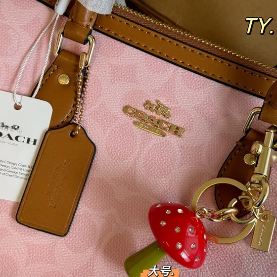 Coach Rowan Satchel Powder Pink Top Handle