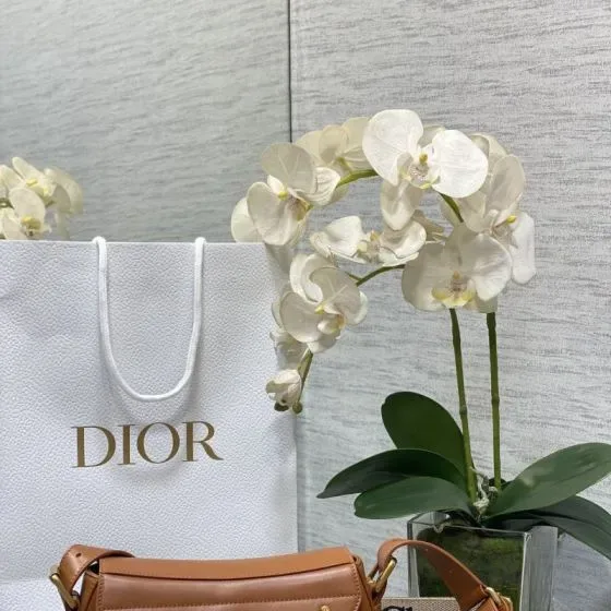 Dior Brown Shoulder Bag