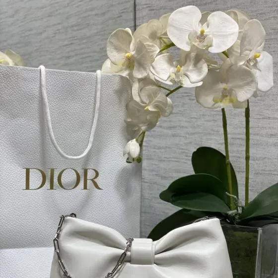 Dior Bow Bag White Shoulder Bag