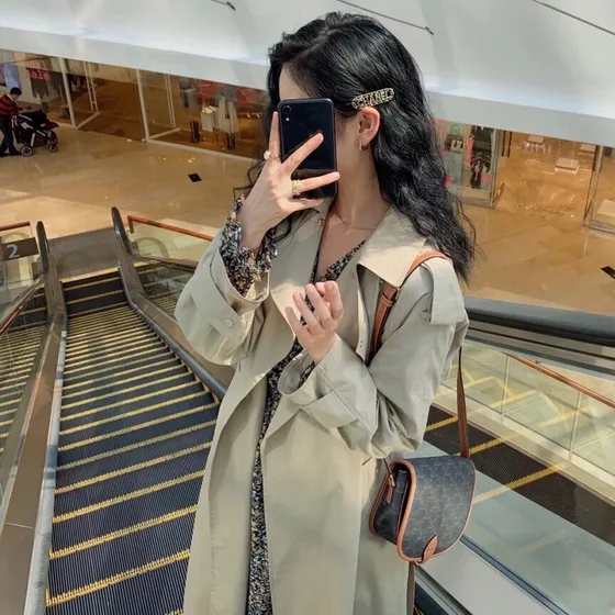 Celine Folco Triomphe Canvas Bag Brown Crossbody