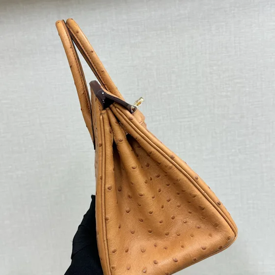 Hermes Birkin Tan Top Handle
