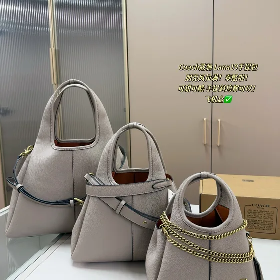 Coach Lana 19 Brick Rot/Braun 19cm Schultertasche/Henkel