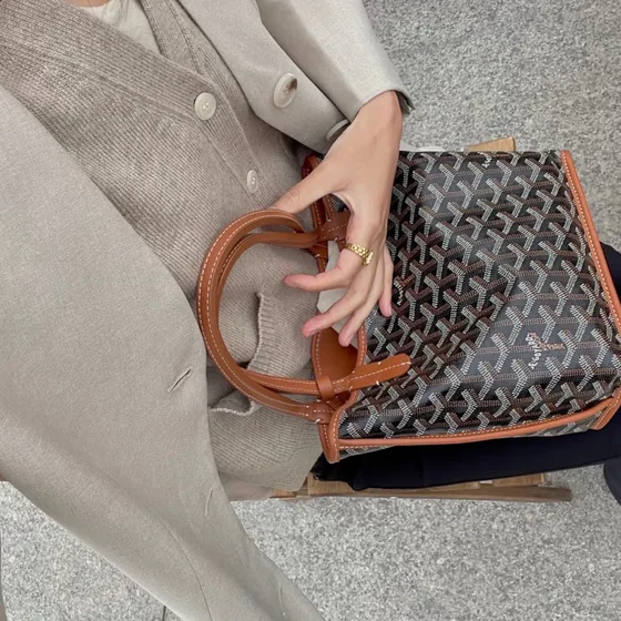 Goyard Anjou Mini Black Brown Tote Bag