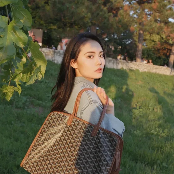 Goyard Sac Hardy Tote Black Brown Tote Bag