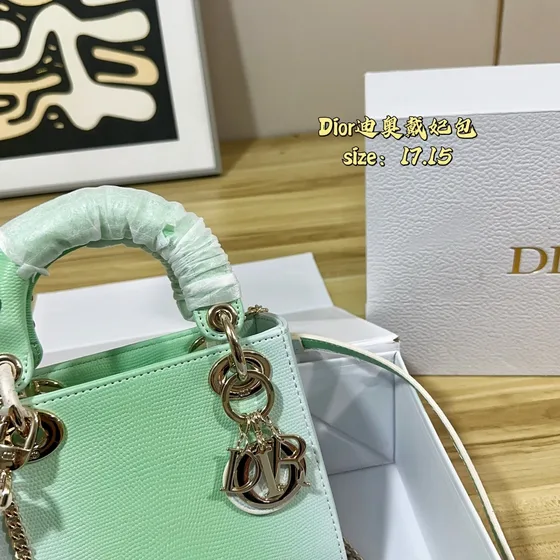 Dior Lady Dior Mint Green 17 15cm Top Handle