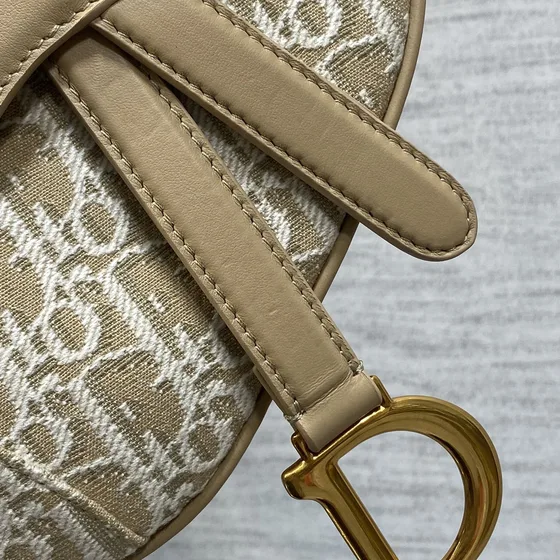 Dior Saddle Bag Beige Sac épaule