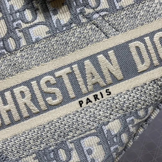 Dior Saddle Bag Gray Shoulder Bag