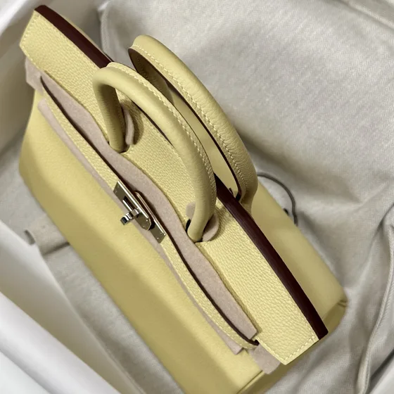 Hermes Birkin 25 Jaune Poussin Manico
