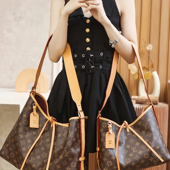 Louis Vuitton Carryall Brown Shoulder Bag