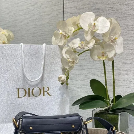 Dior Saddle Bag Blauw Schoudertas